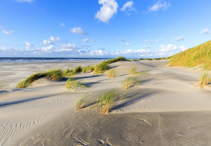 Beach Bergen