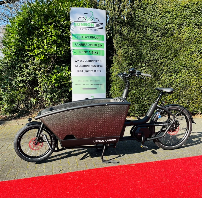 Electric cargo bike