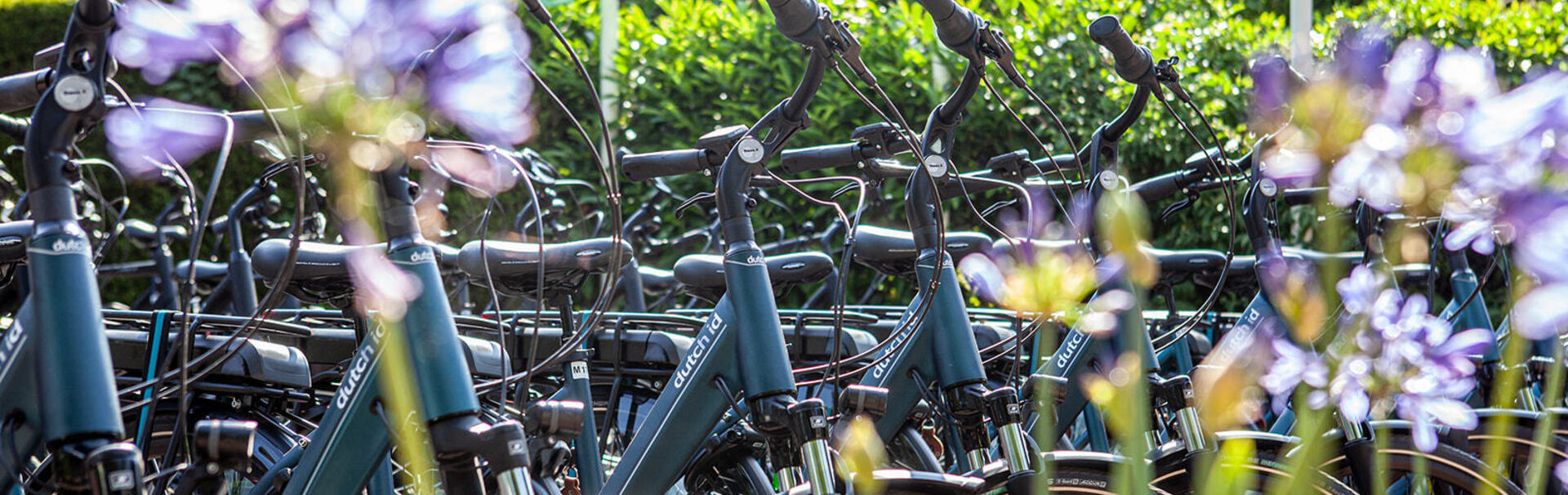 Wir haben die größte Auswahl an E-Bikes und sportlichen Citybikes 